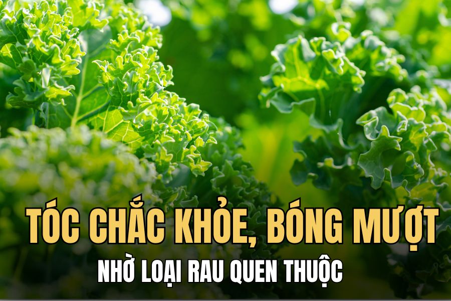 Kale helps stimulate hair growth, making it shiny and soft. Graphics: Hoai Lan