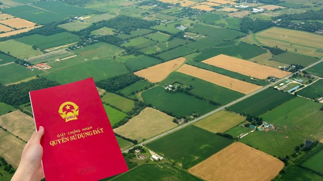 Land granted by the wrong authority after 2014 will be granted a red book if it meets all four conditions as prescribed by the 2024 Land Law. Illustration photo: Phan Anh