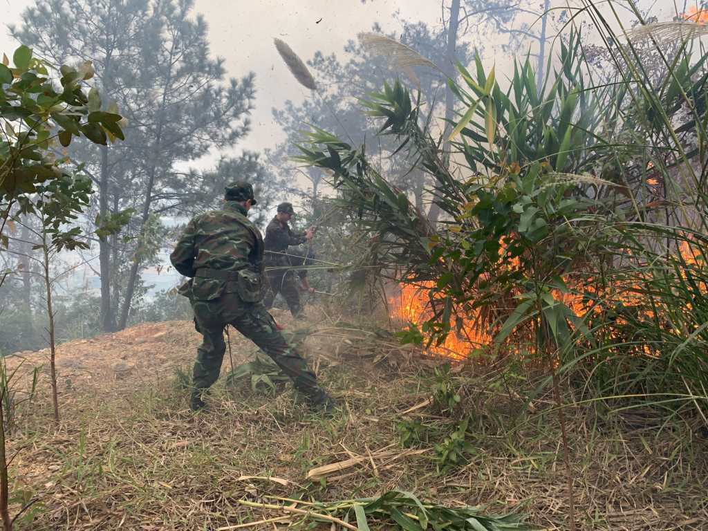 As of this morning (December 18), authorities are still working to contain the forest fire in Bai Chay. Photo: Van Dam