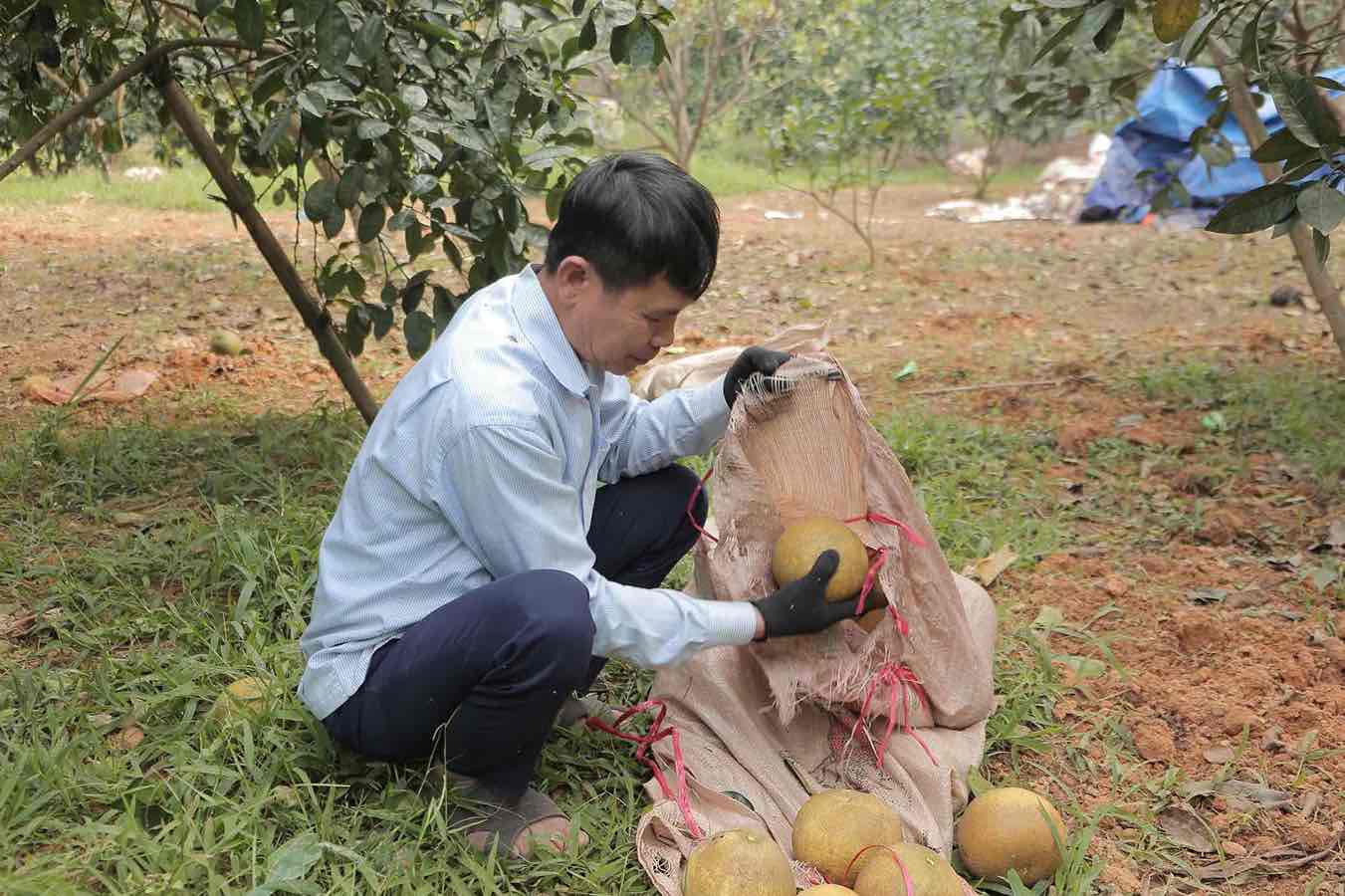 Nguoi dan tranh thu hai nhung qua buoi cuoi cung.