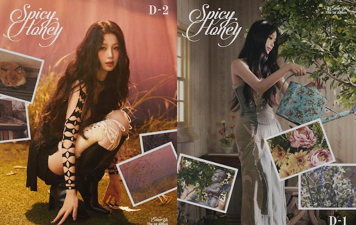 Ngu Thu Han's album received positive feedback. Photo: Weibo