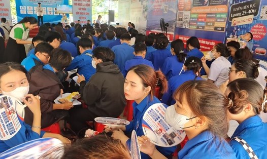 Thanh niên Bạc Liêu tìm hiểu cơ hội việc làm tại một phiên giao dịch việc làm. Ảnh: Nhật Hồ