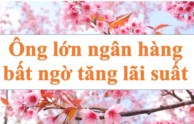 Lãi suất ngân hàng hôm nay 19.12: Ông lớn bất ngờ tăng lãi