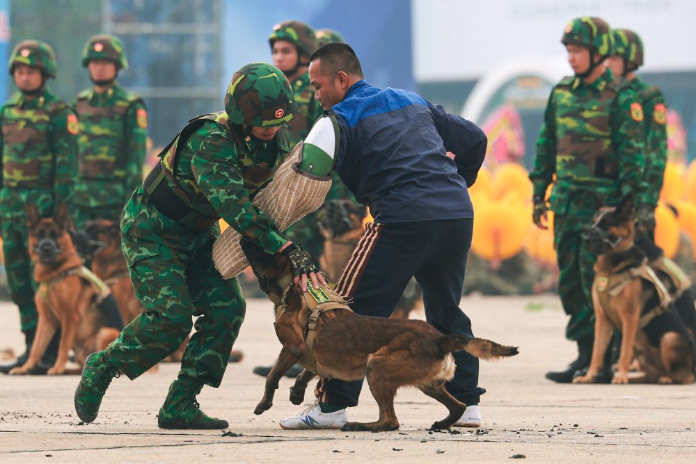 Quân khuyển biên phòng tập luyện để có màn trình diễn đặc sắc tại triển lãm. Ảnh: Hải Nguyễn