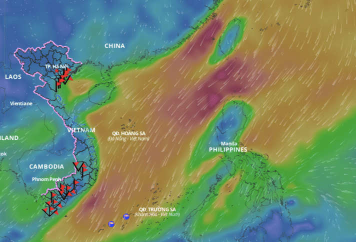 Cold air causes bad weather in the North East Sea. Above is the image of the wind direction layer over the sea updated at 10:00 on December 19. Photo: Vietnam Natural Disaster Monitoring System