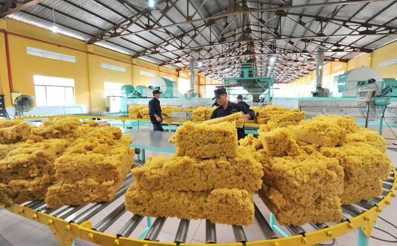 The average income of more than 81,000 employees of Vietnam Rubber Industry Group in 2024 will reach 11 million VND, an increase of 29.9% compared to 2023. Photo: Duc Long
