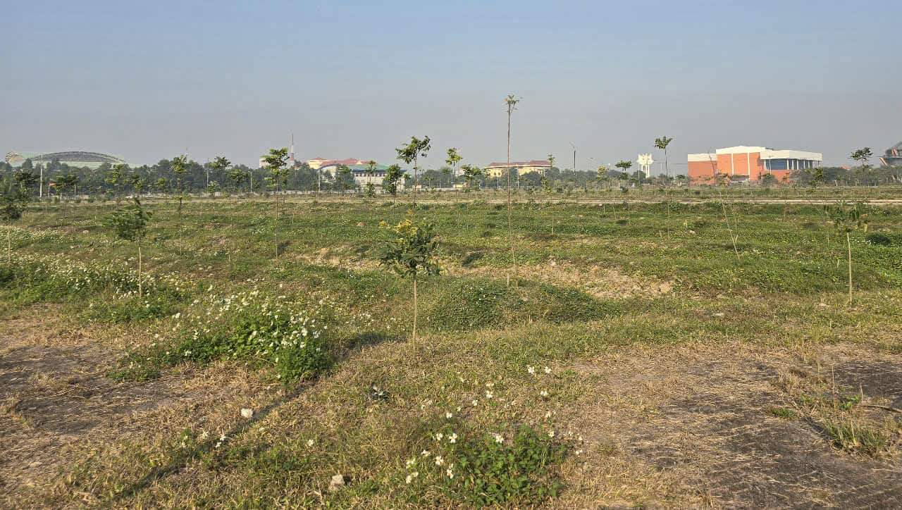 The land area of ​​more than 20 hectares located in the center of Ninh Binh city (in Dong Thanh ward, Ninh Binh city), was invested in building infrastructure since 2009 for auction but until now it is still abandoned, causing waste. Photo: Nguyen Truong
