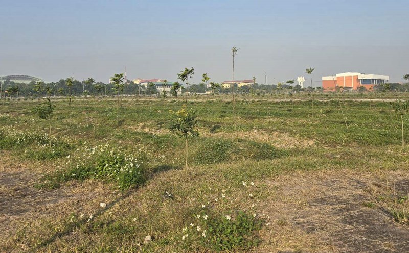 The land area of more than 20 hectares located in the center of Ninh Binh city (in Dong Thanh ward, Ninh Binh city), was invested in building infrastructure since 2009 for auction but until now it is still abandoned, causing waste. Photo: Nguyen Truong
