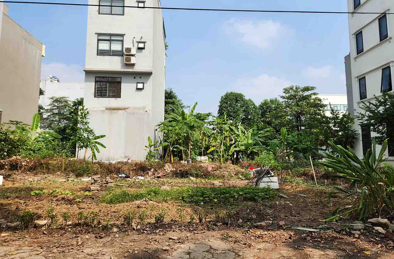 Land market has started to have transactions again. Photo: Cao Nguyen