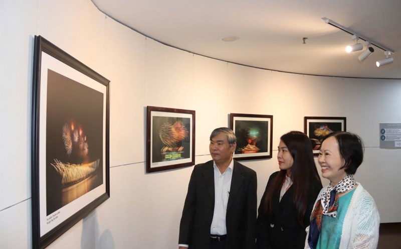 70 sparkling moments of DIFF 2024 through the lens of Mr. Van Sinh. Photo: Nguyen Linh