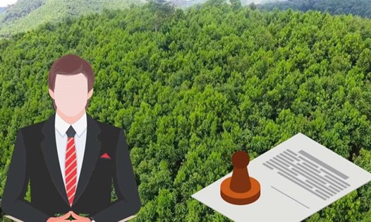 Việc chuyển mục đích sử dụng đất trồng lúa, đất rừng đặc dụng, đất rừng phòng hộ, đất rừng sản xuất sang mục đích khác phải tuân theo tiêu chí, điều kiện do Chính phủ quy định. Đồ họa: Linh Lan