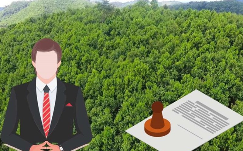The conversion of rice-growing land, special-use forest land, protective forest land, and production forest land to other purposes must comply with criteria and conditions prescribed by the Government. Graphics: Linh Lan