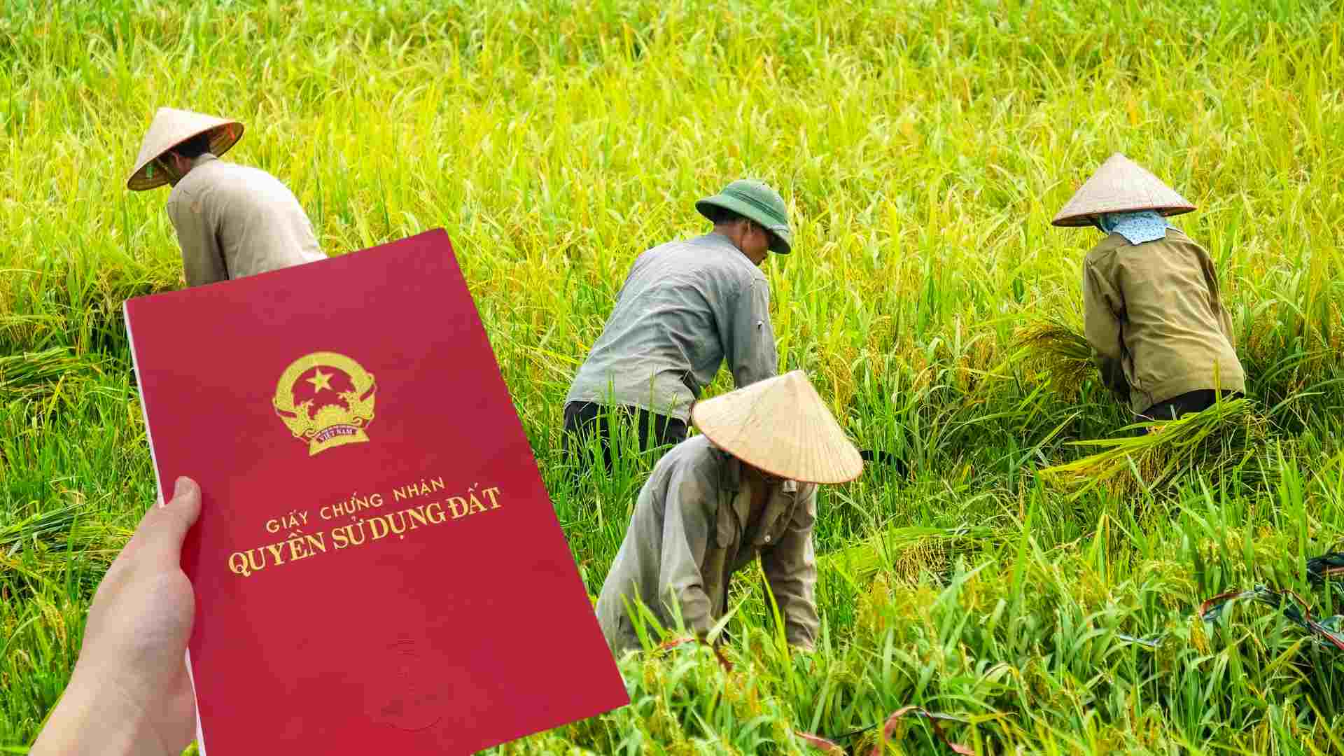 People can mortgage their red books if they meet the conditions prescribed by the 2024 Land Law. Graphics: Thach Lam