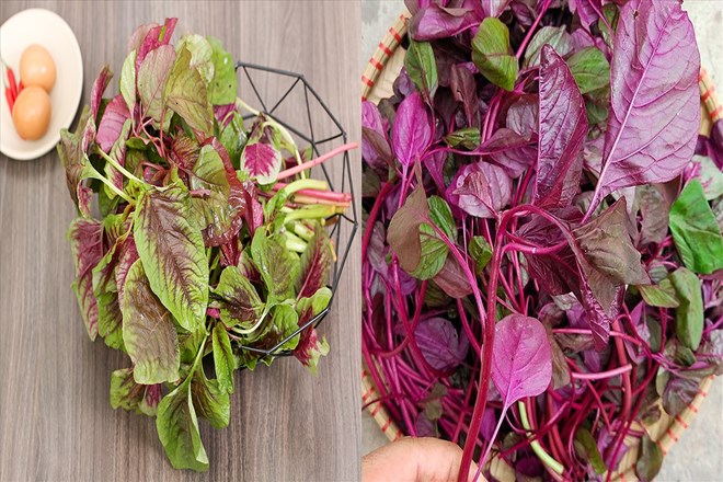 Not only rich in calcium, vegetables also contain many nutrients that support calcium absorption and improve overall health. Graphic photo: Ha May.