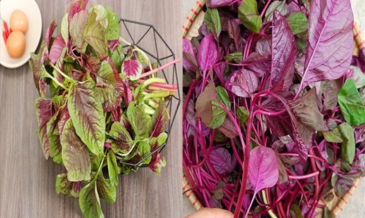 Không chỉ giàu canxi, các loại rau còn chứa nhiều chất dinh dưỡng hỗ trợ hấp thụ canxi và cải thiện sức khỏe tổng thể. Ảnh đồ họa: Hạ Mây.