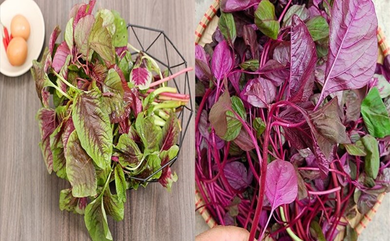 Not only rich in calcium, vegetables also contain many nutrients that support calcium absorption and improve overall health. Graphic photo: Ha May.