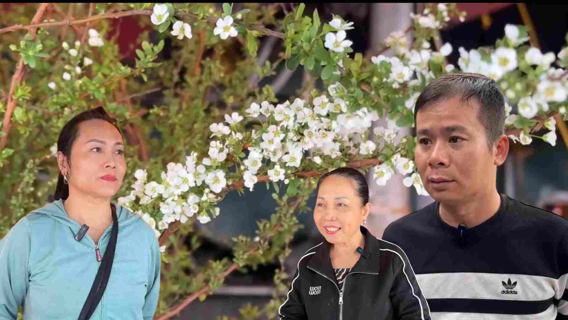 Wild flowers are bustling to "invade" to serve people to celebrate Tet early