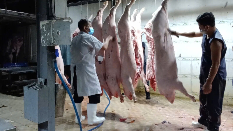 Controlling livestock slaughter at a livestock slaughterhouse in Ho Chi Minh City. Photo: Huan Cao