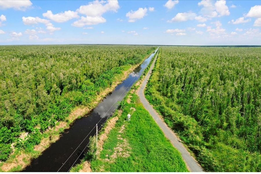 Participating in the carbon credit market is both an opportunity and a challenge for Vietnam. Photo: Nhat Ho