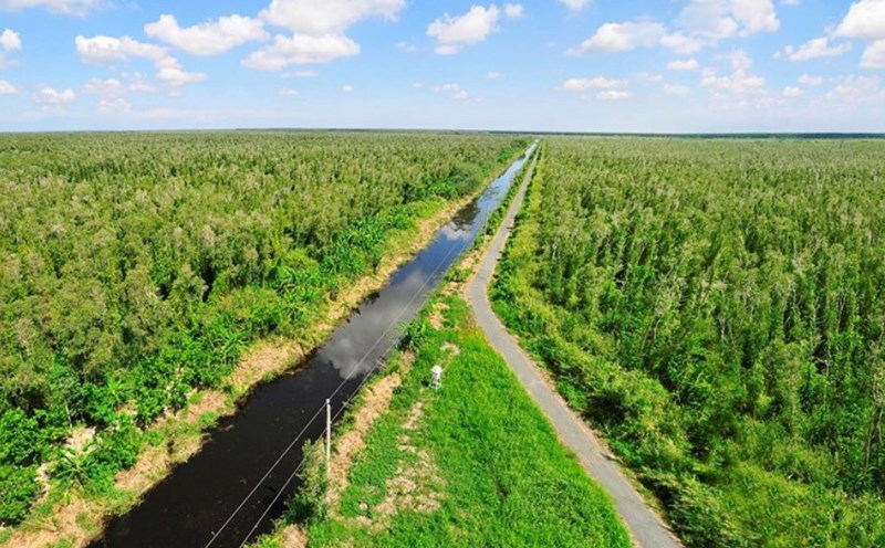 Participating in the carbon credit market is both an opportunity and a challenge for Vietnam. Photo: Nhat Ho