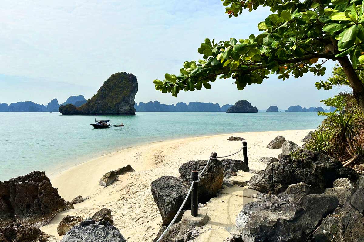 Hang Co sandbank is being studied by the Ha Long Bay Management Board for re-operation. Photo: Doan Hung