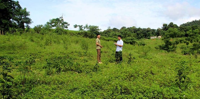 Doanh nghiệp ôm hàng chục ha đất rồi bỏ hoang