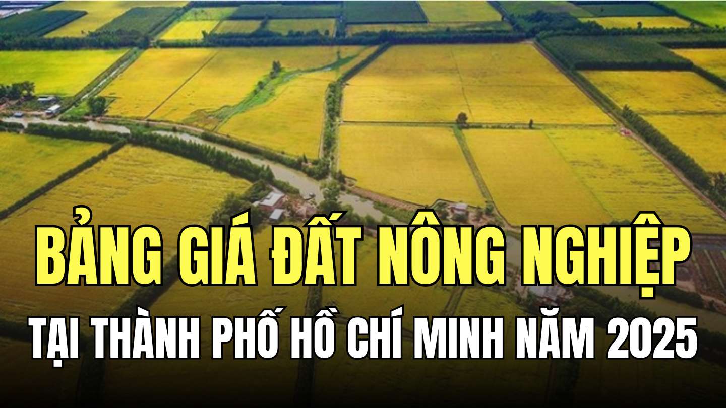 Chi tiết bảng giá đất nông nghiệp tại Thành phố Hồ Chí Minh áp dụng từ ngày 31.10.2024 đến 31.12.2025. Đồ họa: Minh Thương