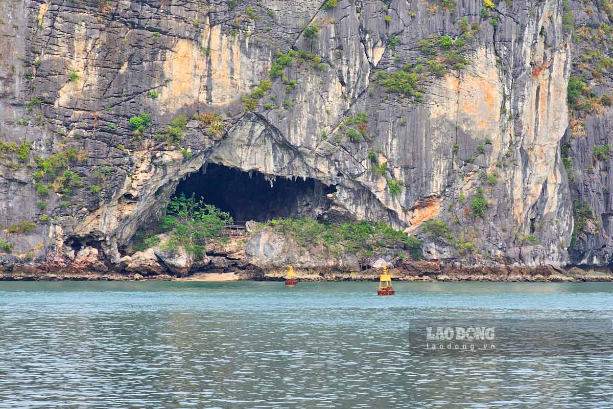 Ban Quan ly Vinh Ha Long da phoi hop voi so nganh khao sat nghien cuu dua mot so dao, bai cat, hang dong hoang so vao khai thac. 