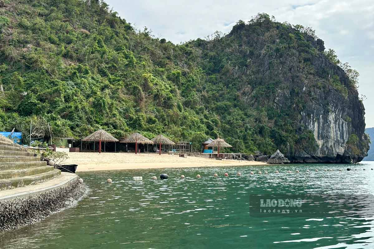 Bai tam Soi Sim voi bai cat trang dai 200m, nam gan cac diem tham quan noi tieng nhu dao Ti Top, hang Sung Sot. Day la noi ly tuong de nghi ngoi giua hanh trinh kham pha Vinh Ha Long.