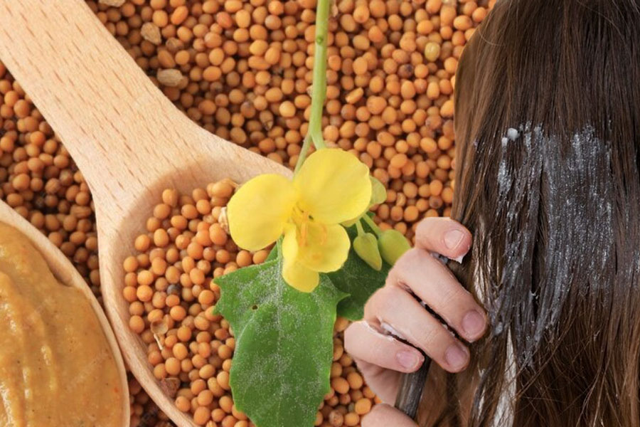 Benefits of mustard seeds for skin and hair. Graphics: Thien Nhan