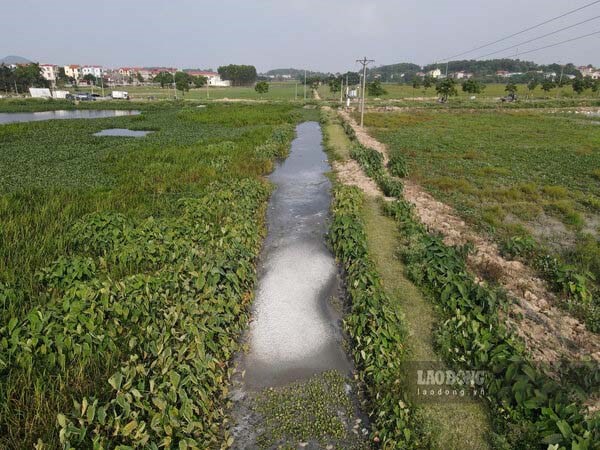 Làng bún nổi tiếng ở Bắc Ninh khiến dòng kênh ô nhiễm nặng