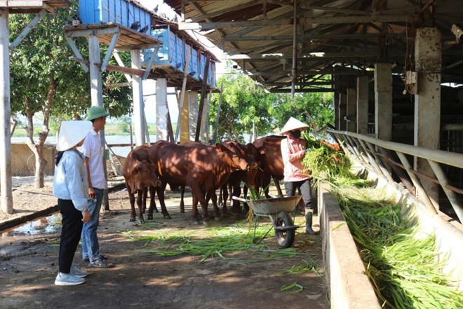 Quảng Bình cải thiện cơ sở hạ tầng và hỗ trợ sinh kế cho người dân