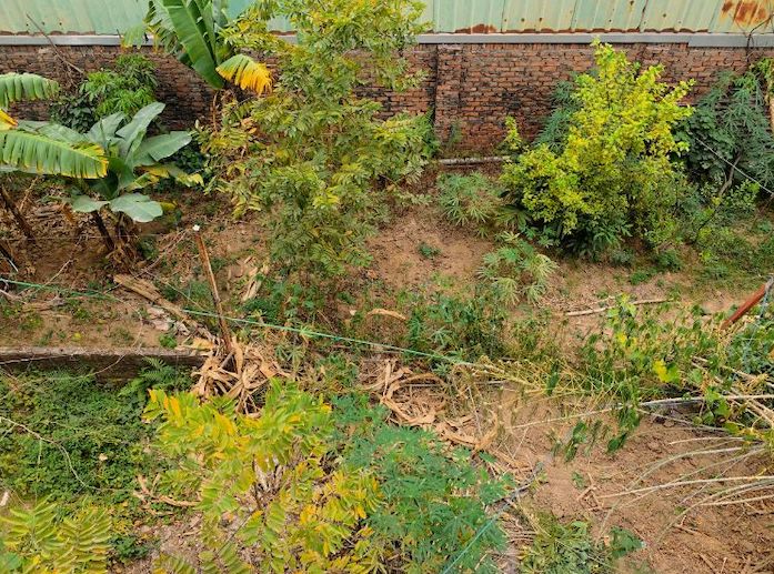 How long is the shelf life of garden soil? Photo: Linh Dan