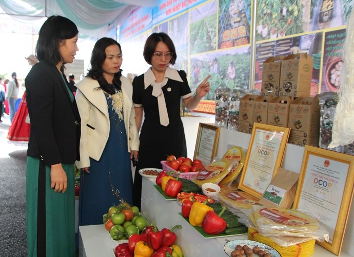 Nhieu san pham nong san cua huyen Dam Rong da khang dinh thuong hieu,  co cho dung o thi truong trong nuoc. Anh: Bao Trung