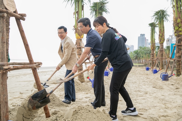 Da Nang plants coconut trees to create landscapes at tourist beaches. Photo: Trieu Pham