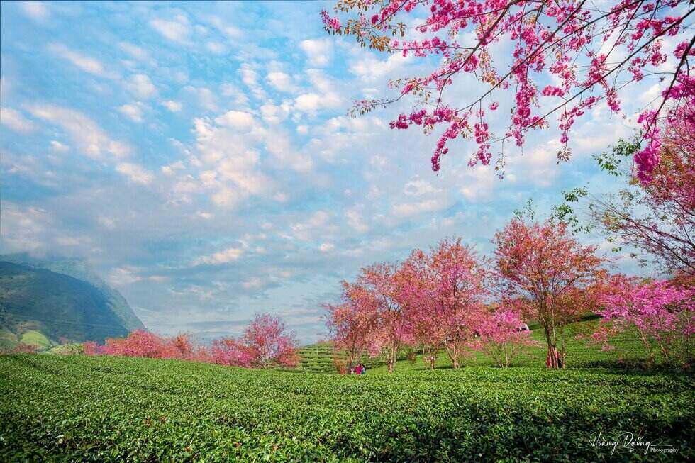 Weather forecast for the whole country is little rain, sunny days during the New Year holiday. Photo: Hoang Duong