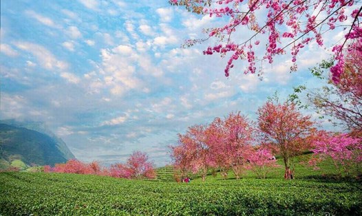 Dự báo thời tiết trên cả nước ít mưa, ngày nắng trong dịp nghỉ Tết Dương lịch. Ảnh: Hoàng Dưỡng