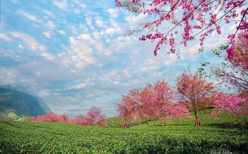 Weather forecast for the whole country is little rain, sunny days during the New Year holiday. Photo: Hoang Duong