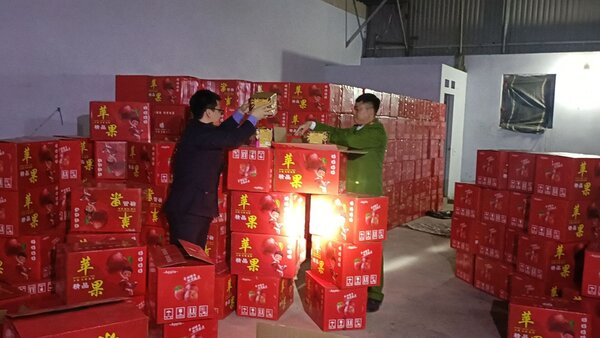 Lực lượng chức năng kiểm tra, phát hiện kho pháo hoa nổ trái phép tại Bắc Giang. Ảnh: Công an Bắc Giang

