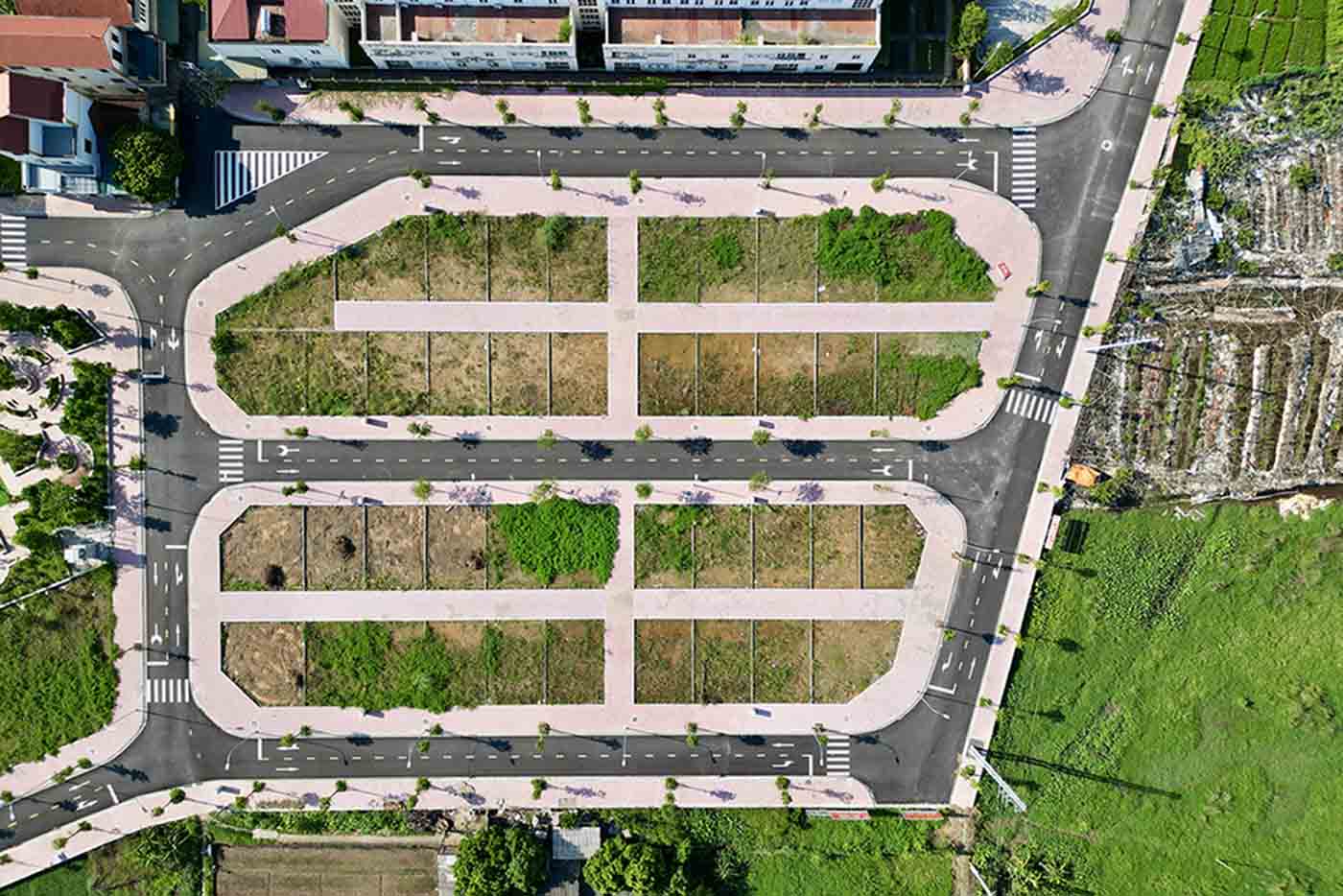 Illustration: Huu Chanh