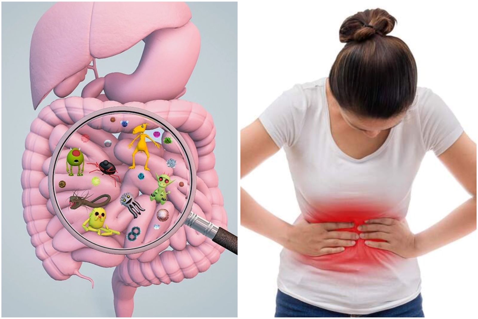 The gut has an amazing ability to regenerate. Graphics: Thanh Thanh