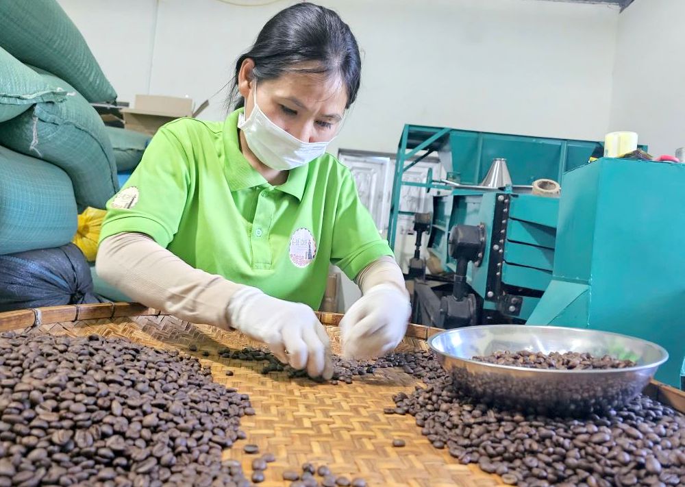 Coffee is the main export product in Dak Lak province. Photo: Thanh Quynh