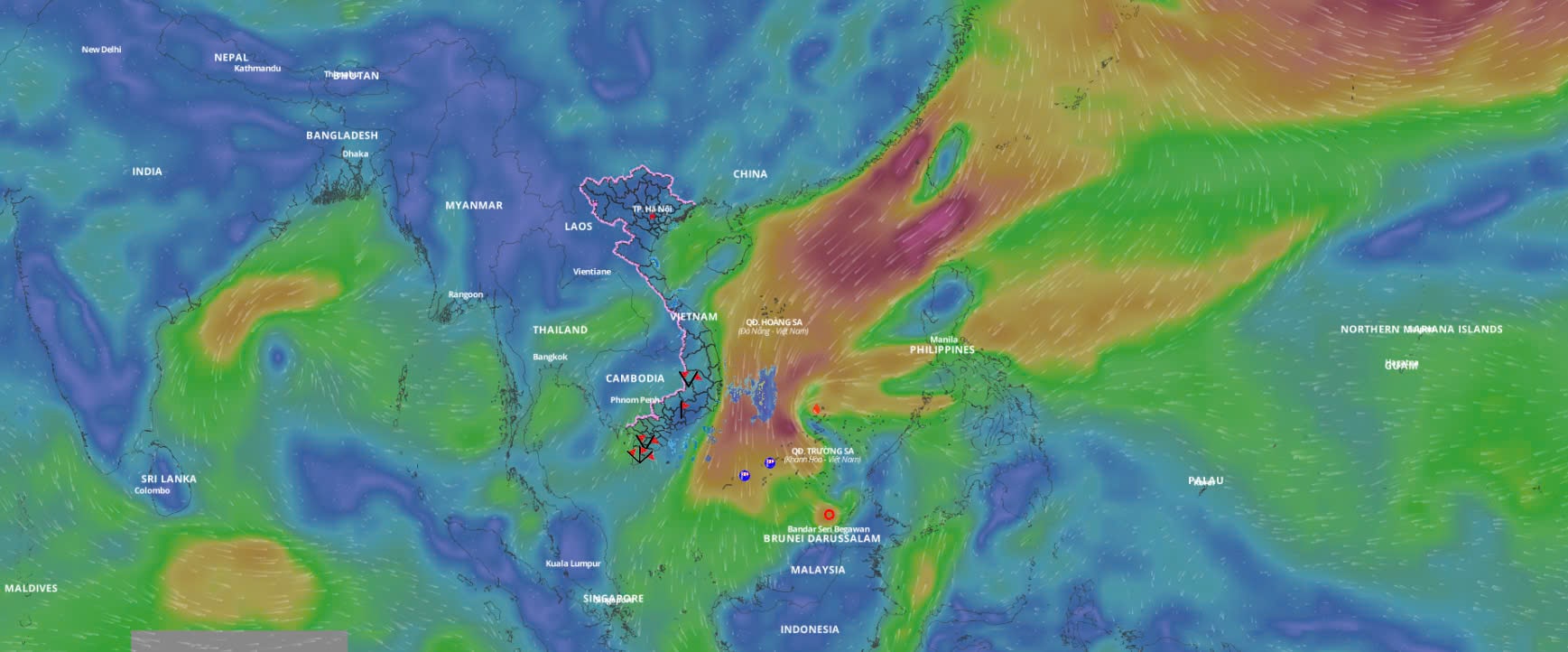 Latest update on the path of the tropical depression at 8:30 a.m. on December 22. Photo: Vietnam Disaster Monitoring System