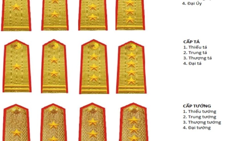 Officer's rank insignia. Photo: QDND