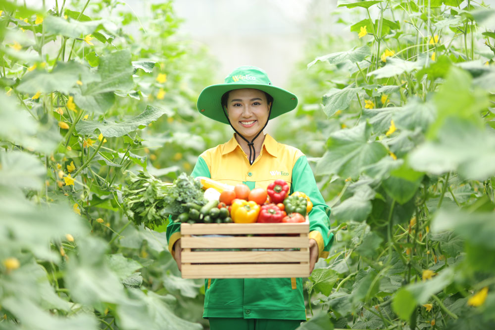Bountiful vegetable and fruit crops are being harvested and are planned to be exported to international markets in the near future. Photo: H.Q