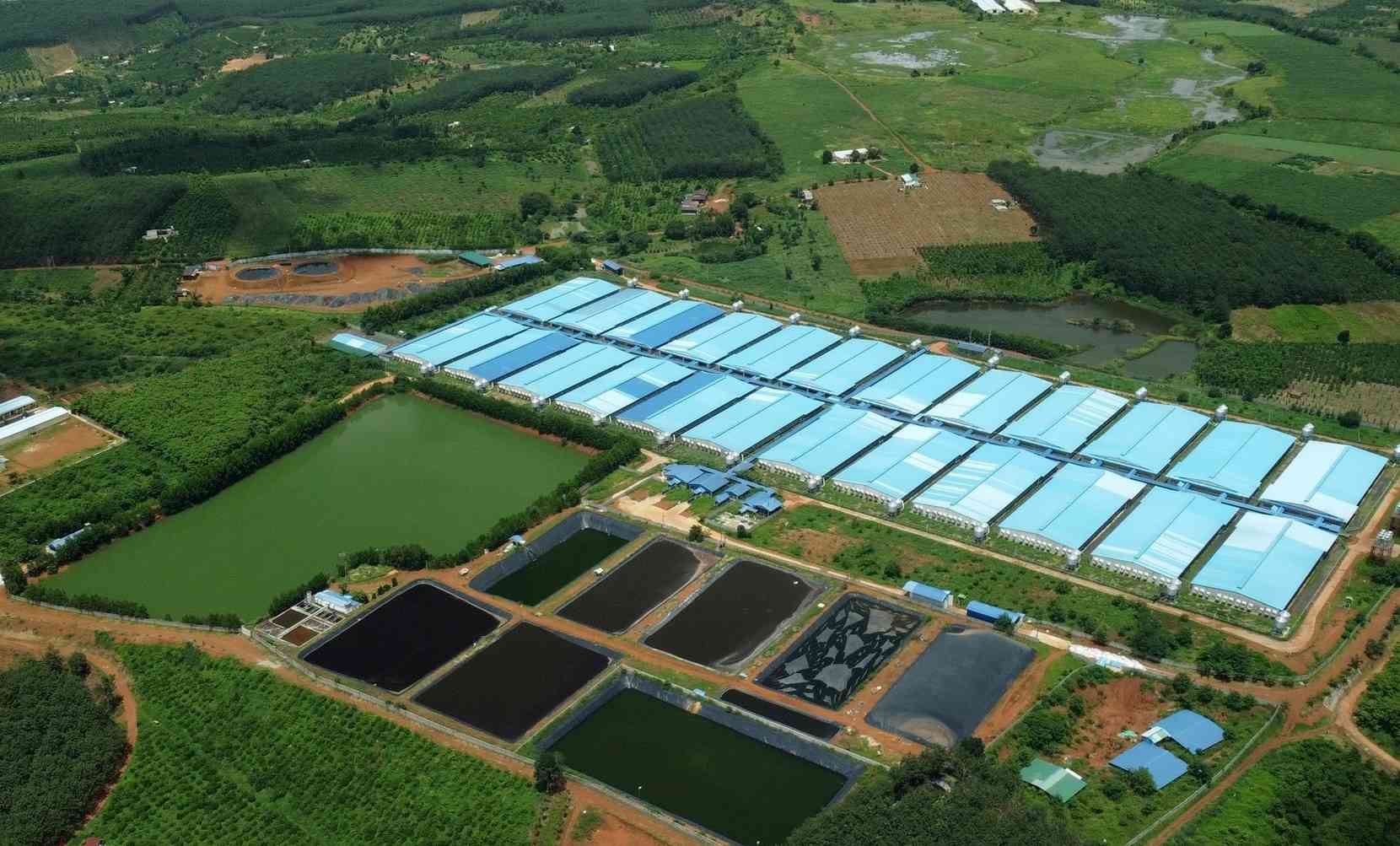 According to regulations, large emission projects must have environmental permits. Photo: Bao Lam