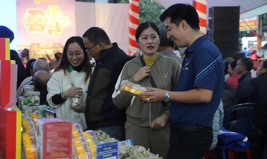 Đà Nẵng đẩy mạnh dùng công nghệ trong xúc tiến thương mại. Ảnh: Trần Thi