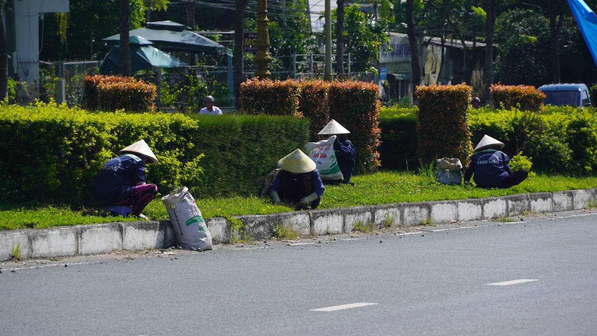 Hang chuc cong nhan dang tat bat lam co, cat tia hoa va cay xanh. Anh: Yen Phuong