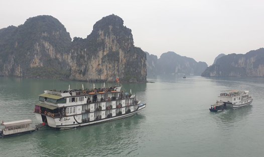 Tàu du lịch trên vịnh Hạ Long. Ảnh: Nguyễn Hùng