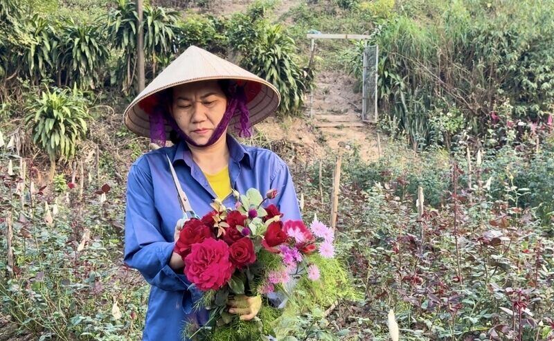 Flower growers in Phuong Vien flower village are preparing to serve the Lunar New Year market. Photo: Khanh Linh